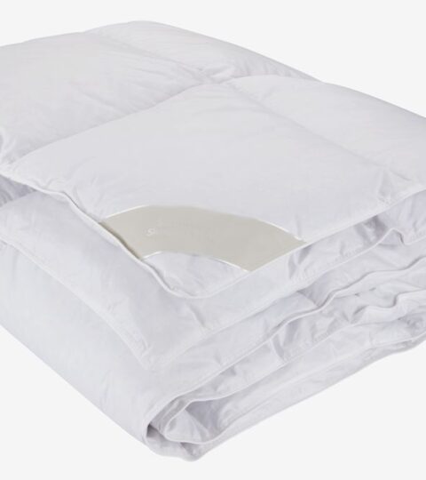 Couette En Duvet De Canard 240×220 LENDFJELL Chaude